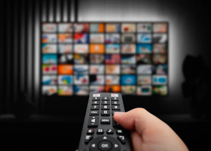 Platform Streaming Yang Paling Digemari Generasi Muda